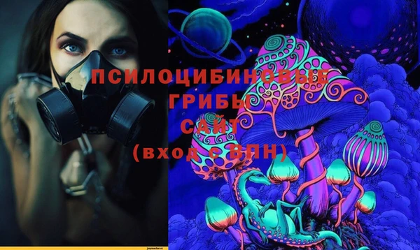 мет Касимов