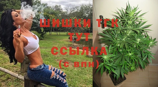молекула духа Армянск